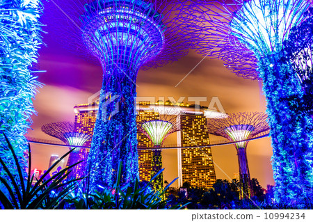 Gardens by the Bay 10994234