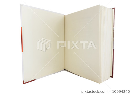 Blank white book 10994240