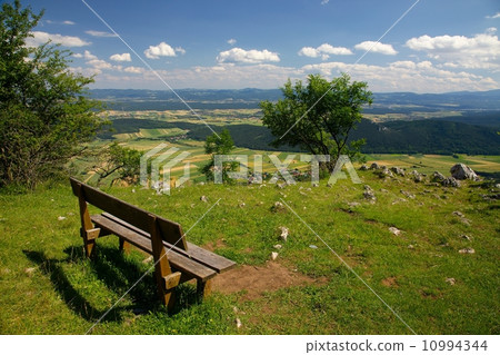 Outdoor bench 10994344