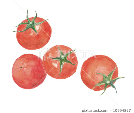 Tomato   10994857