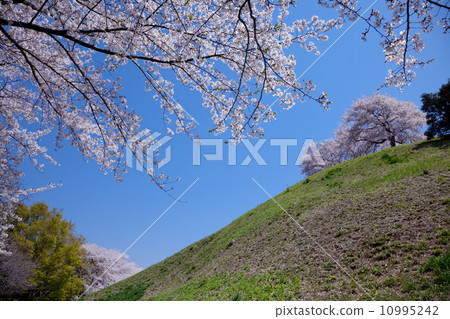 Kofun公園004 10995242