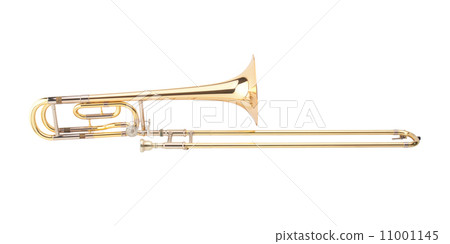 The brass trombone 11001145