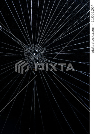 web with water drops 11001204