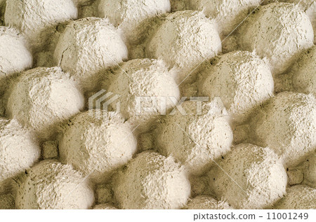 Closeup of tray egg 11001249