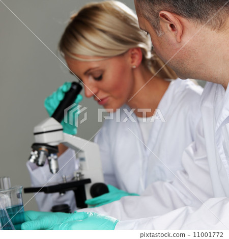 scientist in chemical lab scientist in chemical lab 11001772