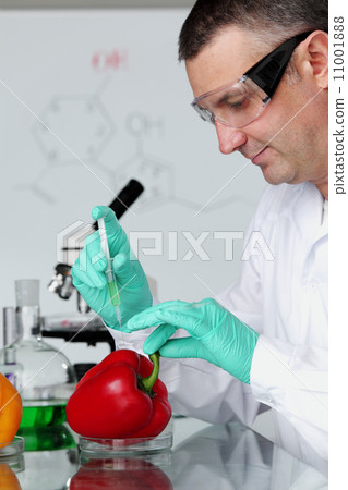 paprica DNA paprica DNA 11001888