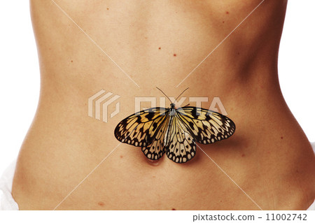 Butterflies in the stomach 11002742