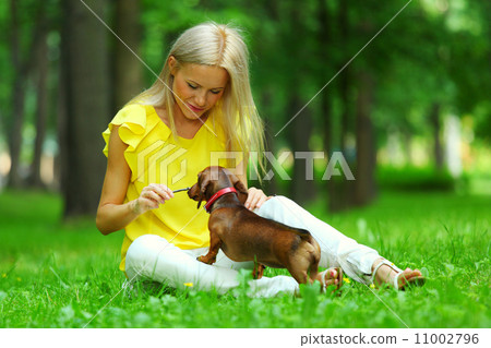 woman dachshund in her arms woman dachshund in her arms 11002796