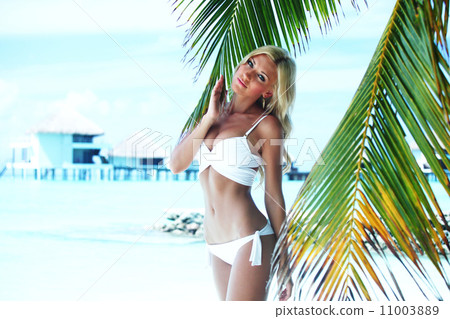 woman in bikini under palm 11003889