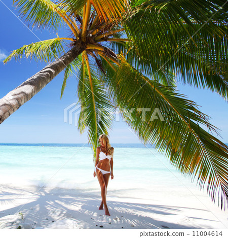 woman under palm 11004614