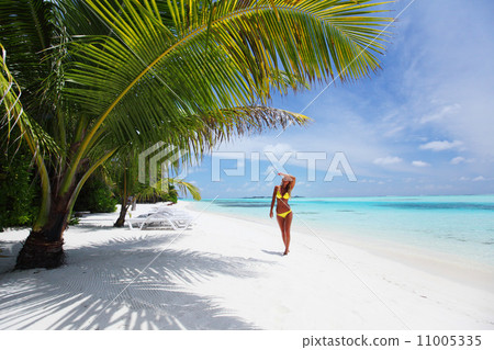 woman in bikini under palm 11005335