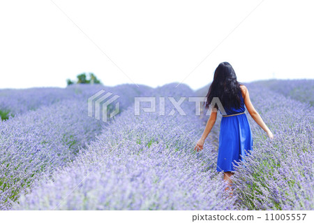 Woman standing on a lavender field Woman standing on a lavender field 11005557
