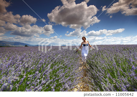 woman on lavender field woman on lavender field 11005642