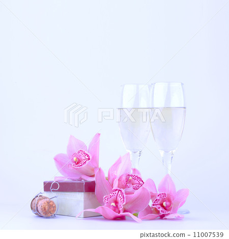 beautiful pink orchid against blue background beautiful pink orchid against blue background 11007539