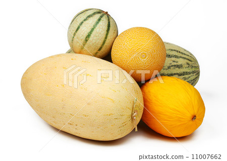 different melon 11007662