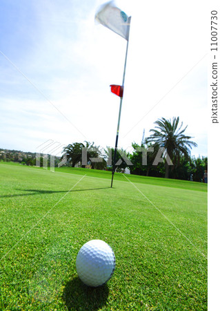 golf-ball on course golf-ball on course 11007730