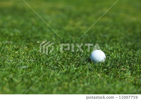 golf-ball on course golf-ball on course 11007759