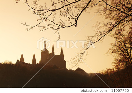 Prague castle 11007760
