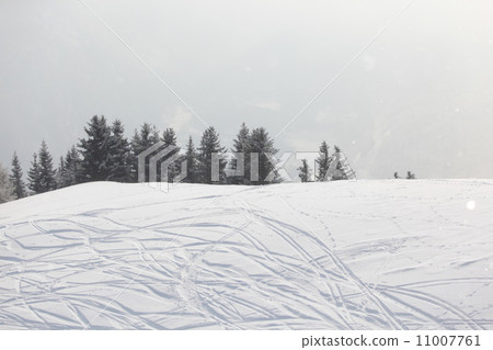 ski traces on snow 11007761