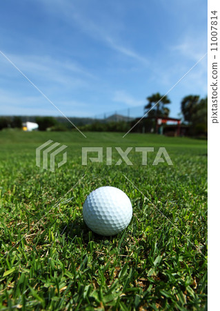 golf-ball on course golf-ball on course 11007814