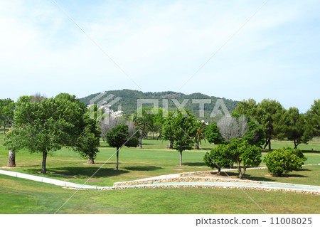 Green grass on a golf field Green grass on a golf field 11008025