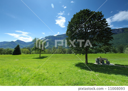 spring alps 11008093