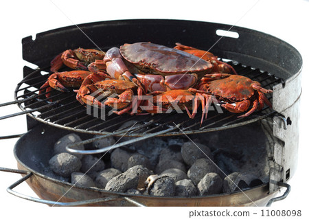crab on charcoal grill 11008098