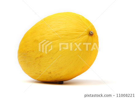 honeydew melon 11008221