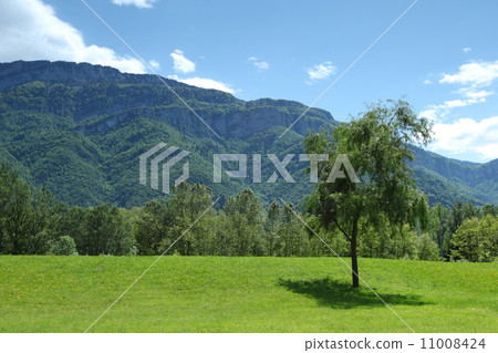 spring alps spring alps 11008424