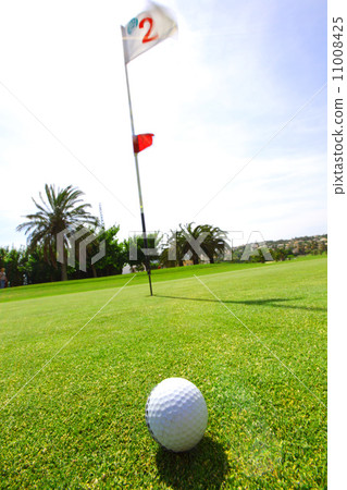 golf-ball on course 11008425