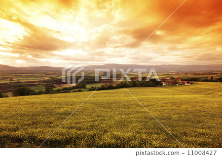Green meadow under sunset sky with clouds Green meadow under sunset sky with clouds 11008427