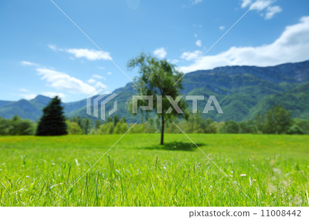 spring alps 11008442