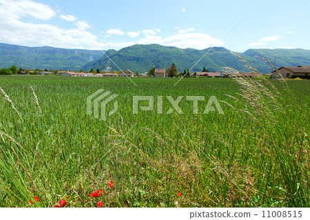 spring alps 11008515