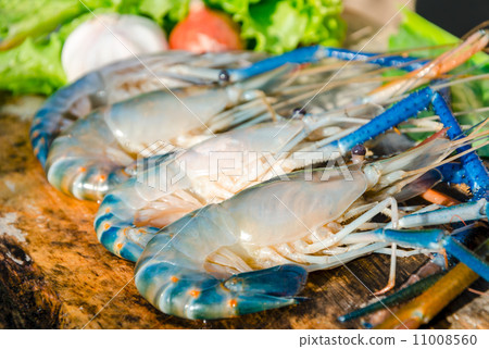 Seafood fresh shrimps laying on wood board Seafood fresh shrimps laying on wood board 11008560