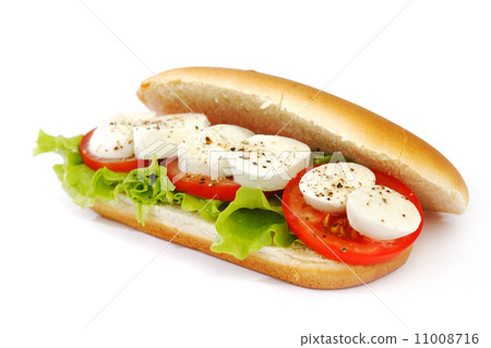 Sandwich with mozzarella tomato and salad 11008716