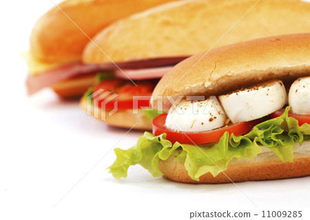 Sandwich with mozzarella tomato and salad 11009285