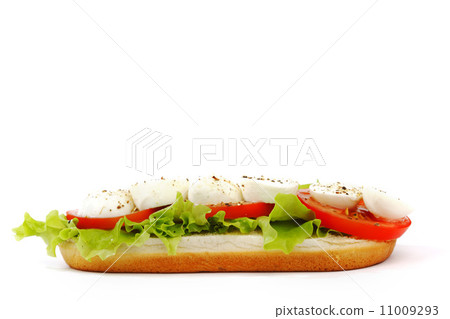 Sandwich with mozzarella tomato and salad 11009293
