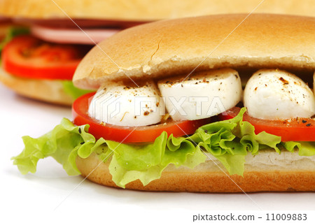 Sandwich with mozzarella tomato and salad 11009883