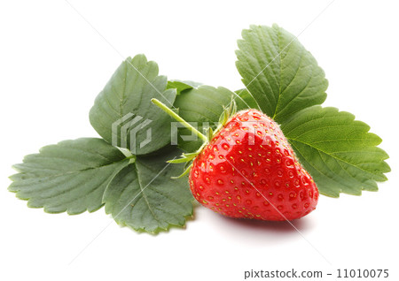 Strawberry with leaves Strawberry with leaves 11010075
