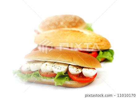 Sandwich with mozzarella tomato and salad 11010170
