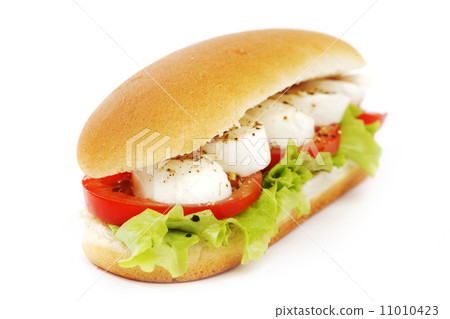 Sandwich with mozzarella tomato and salad 11010423