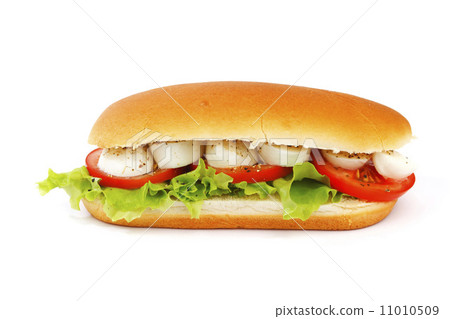 Sandwich with mozzarella tomato and salad 11010509