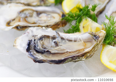 Oysters with lemon and dill Oysters with lemon and dill 11010698