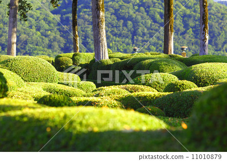 marqueyssac marqueyssac 11010879