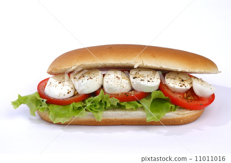 Sandwich with mozzarella tomato and salad 11011016