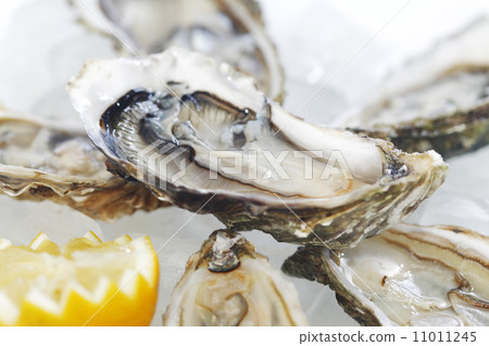 Oysters with lemon 11011245