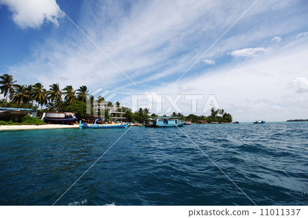 tropical island 11011337