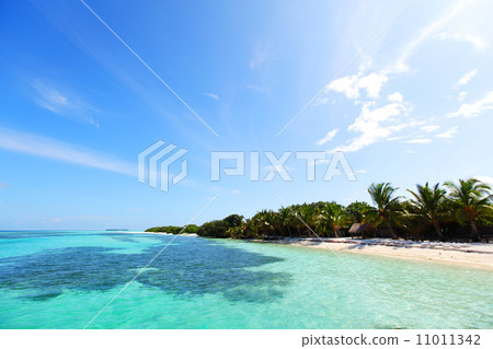 tropical island 11011342