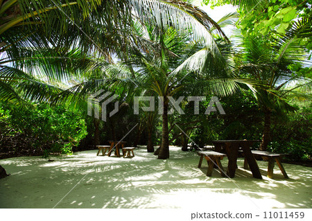 tropical cafe 11011459