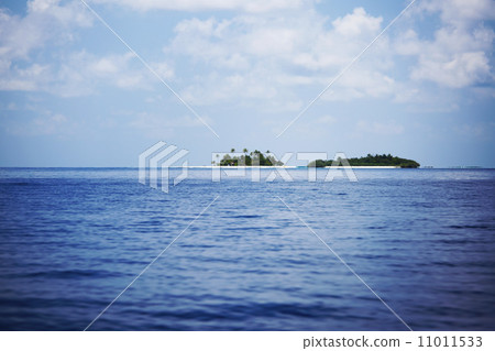 tropical island 11011533